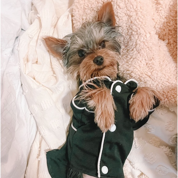 Meet your Posher, Nancy - Picture 5 of 5